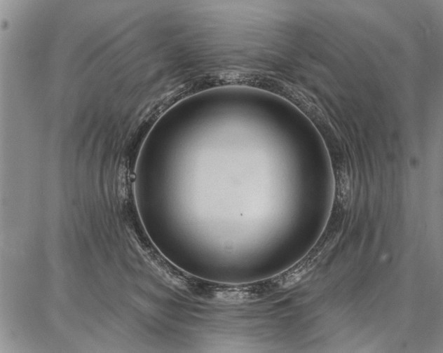 X0000086880470200704231107