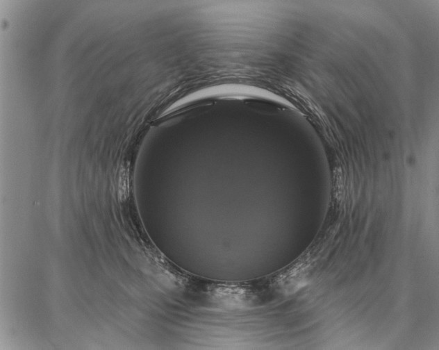 X0000086880471200704231107