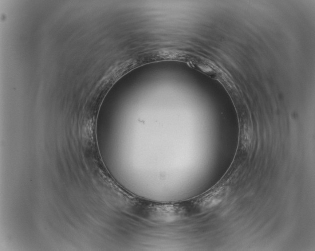 X0000086880473200704231107