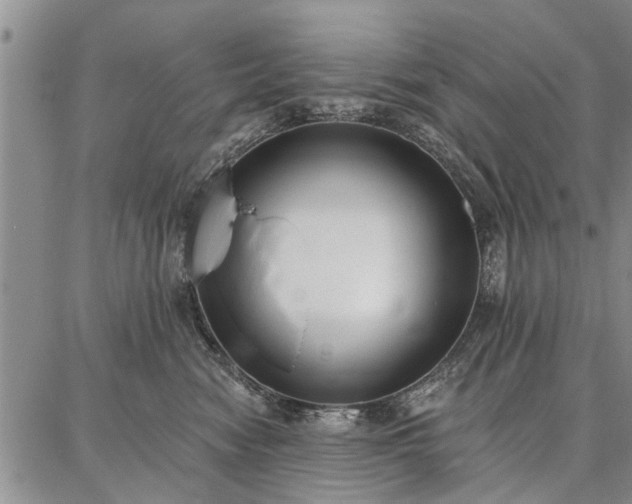 X0000086880474200704231107