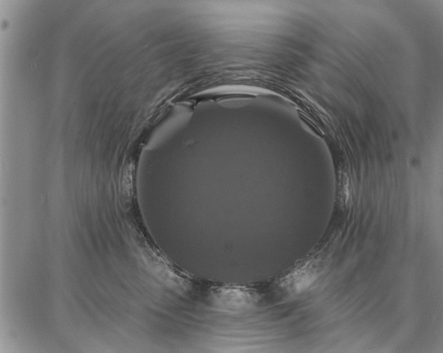 X0000086880475200704231107