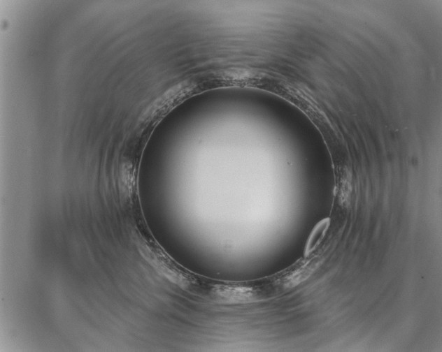 X0000086880476200704231107