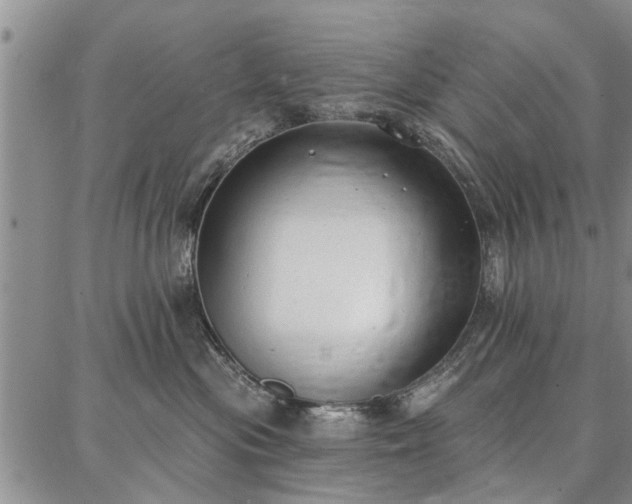 X0000086880477200704231107