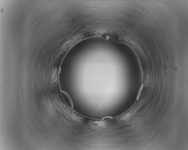 X0000086880478200704231107