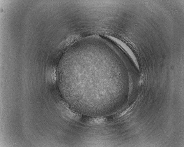 X0000086880479200704231107