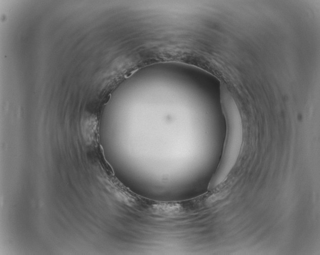 X0000086880480200704231107