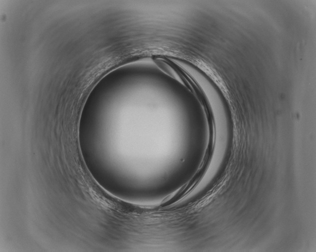 X0000086880481200704231107