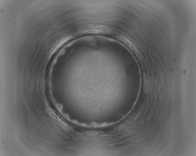 X0000086880482200704231107