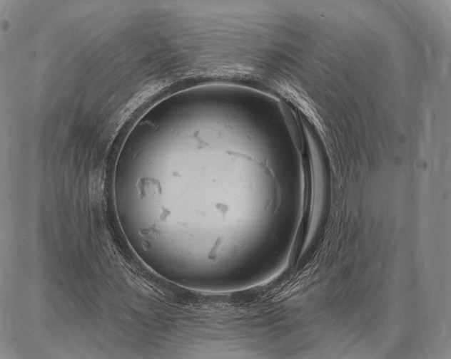 X0000086880483200704231107