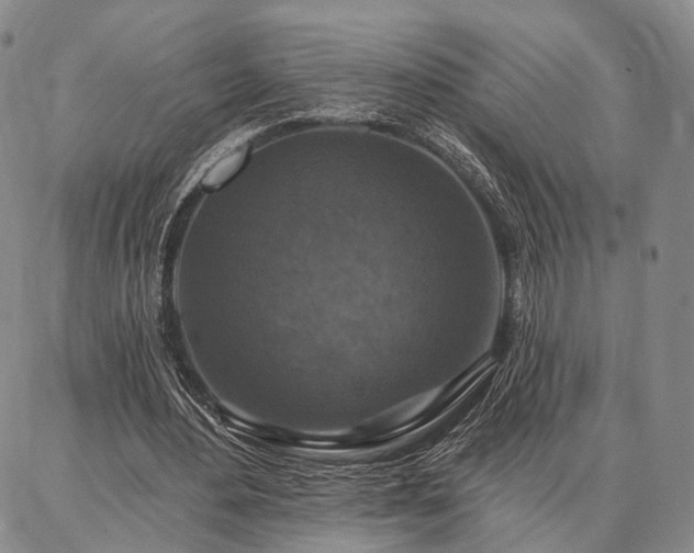 X0000086880484200704231107