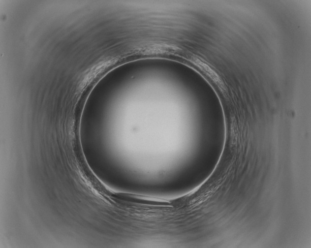 X0000086880485200704231107