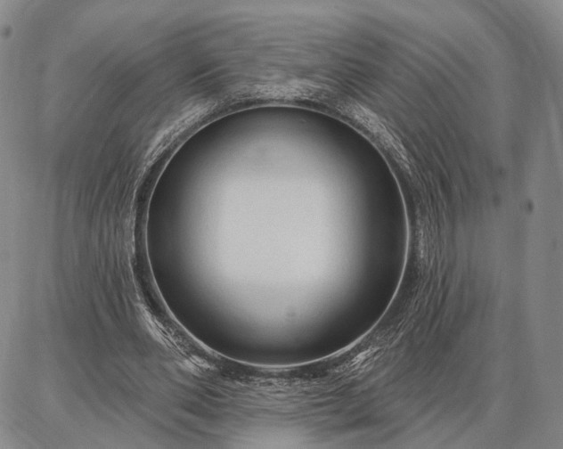 X0000086880486200704231107