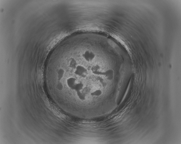 X0000086880487200704231107