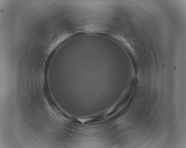 X0000086880488200704231107