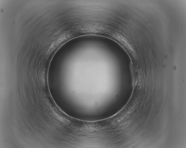 X0000086880489200704231106