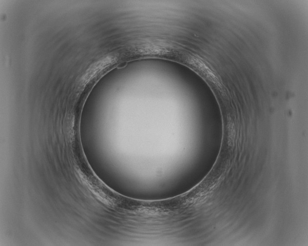 X0000086880490200704231106