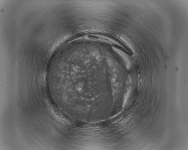 X0000086880491200704231106