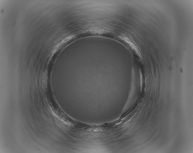 X0000086880492200704231106