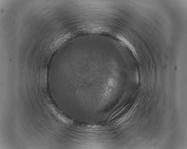 X0000086880493200704231106