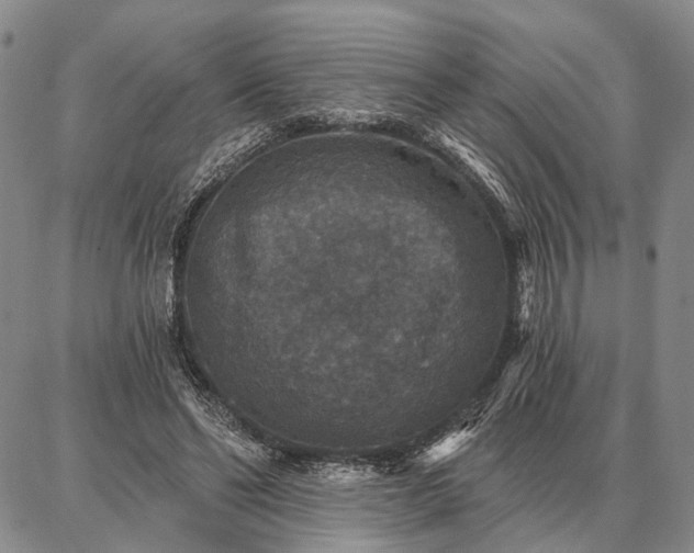 X0000086880494200704231106