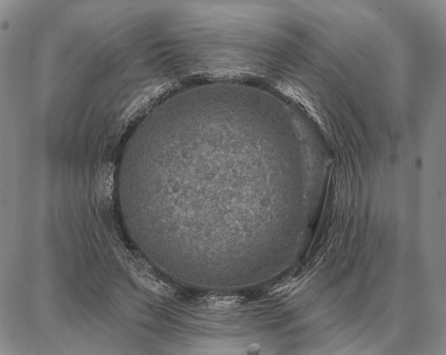 X0000086880495200704231106