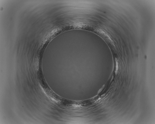 X0000086880496200704231106