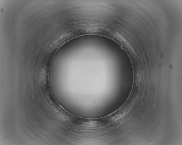 X0000086880497200704231106