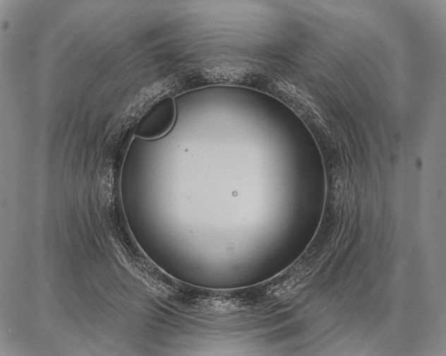 X0000086880498200704231106