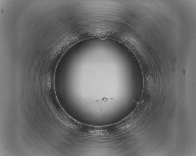 X0000086880499200704231106