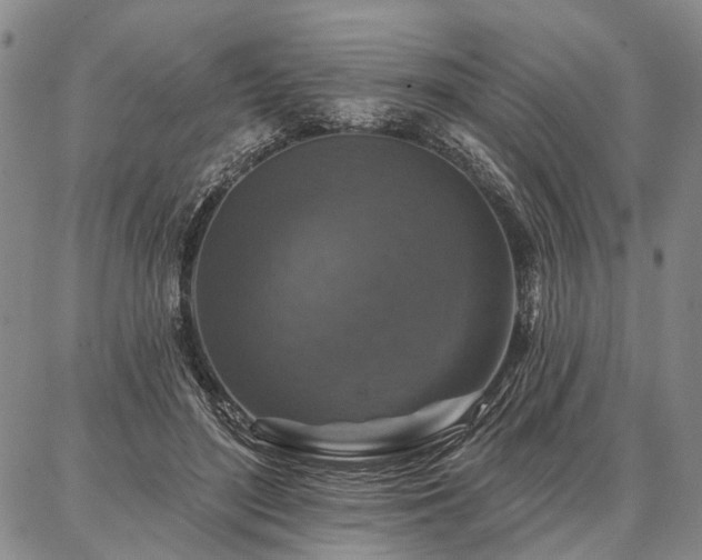 X0000086880500200704231106