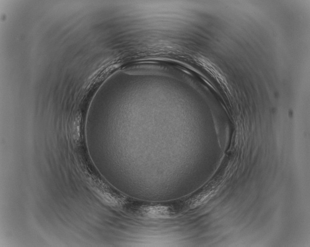 X0000086880501200704231106