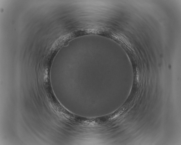 X0000086880502200704231106