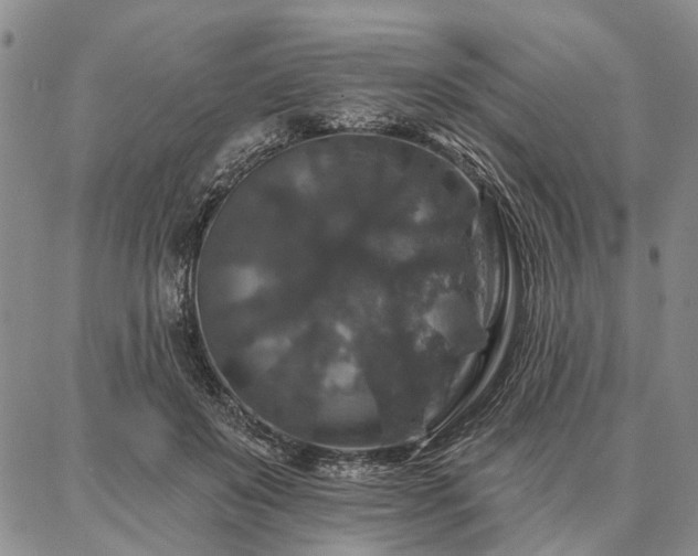 X0000086880503200704231106