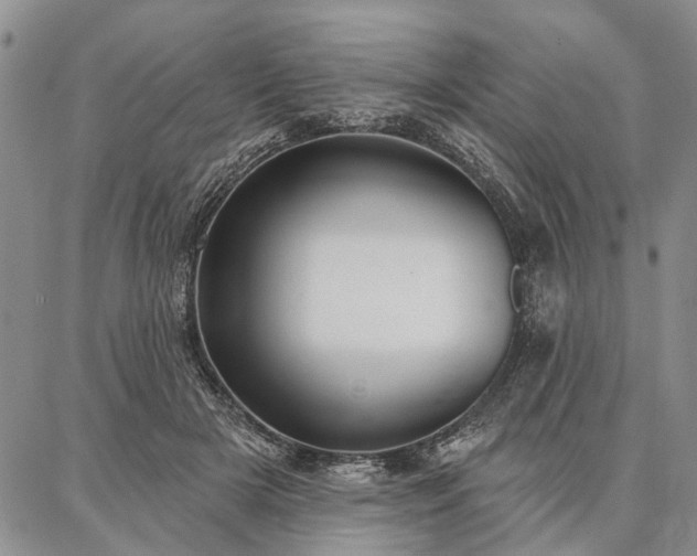 X0000086880505200704231106