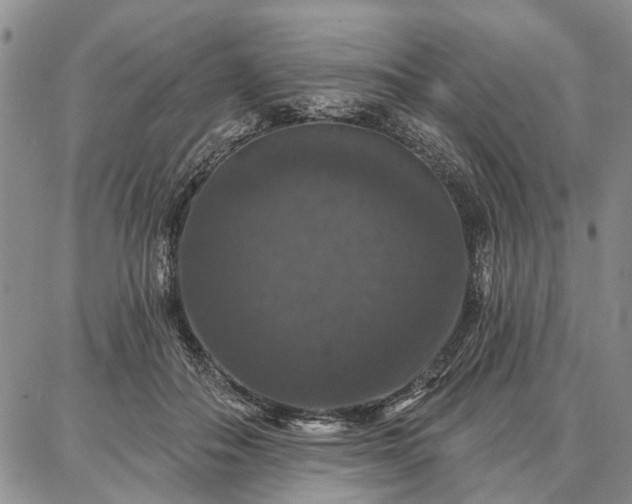 X0000086880506200704231106