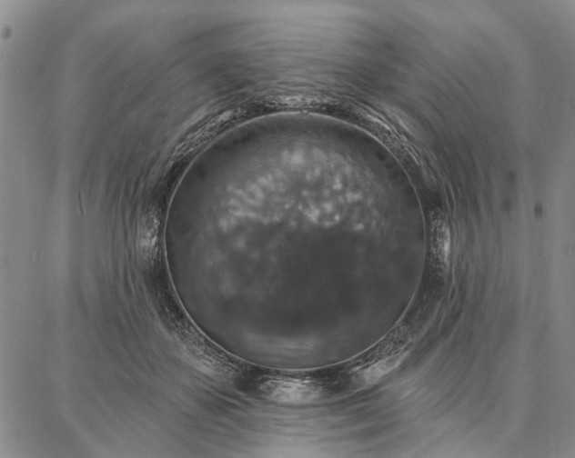 X0000086880507200704231106