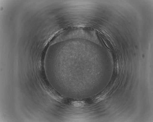 X0000086880508200704231106