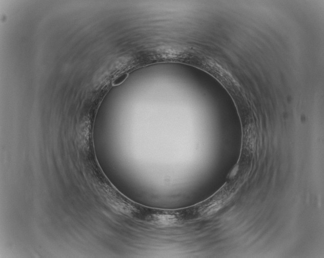 X0000086880509200704231106