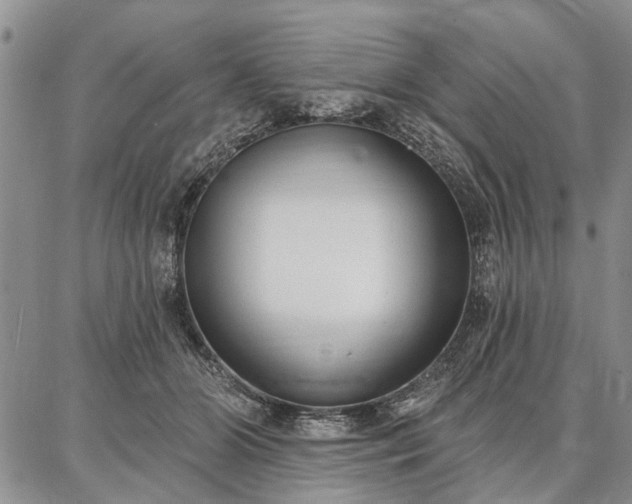 X0000086880510200704231106