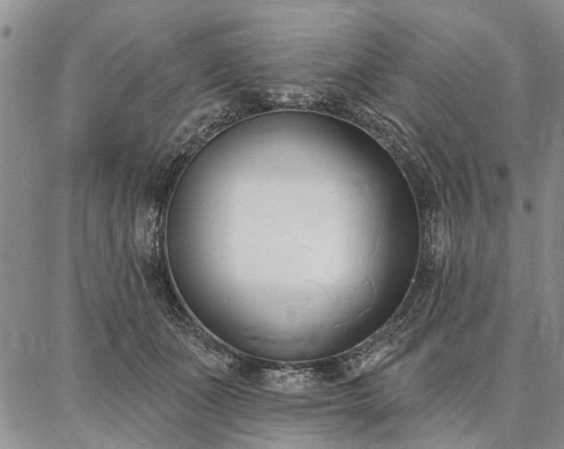 X0000086880511200704231106