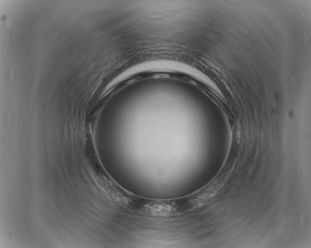 X0000086880512200704231106