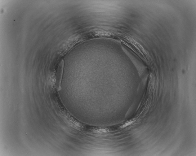 X0000086880513200704231106