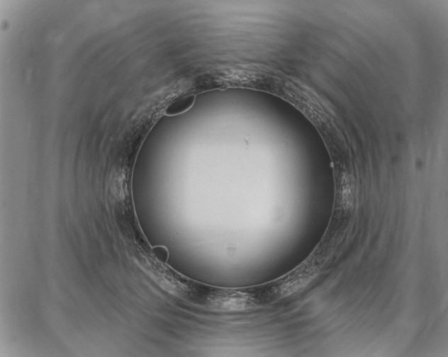 X0000086880514200704231106