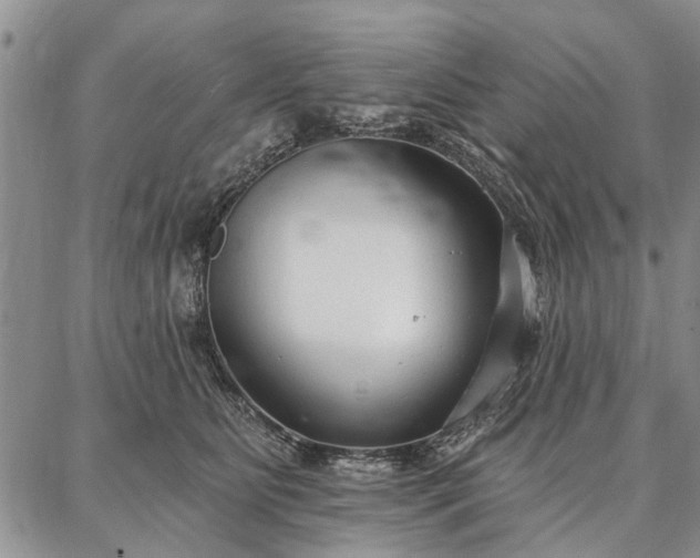 X0000086880515200704231106