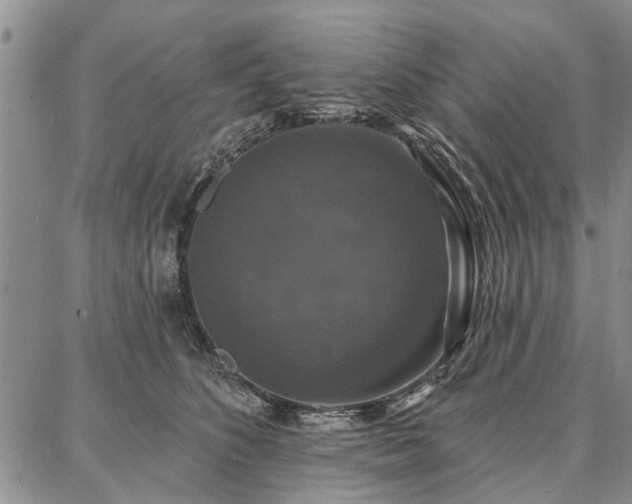 X0000086880516200704231106