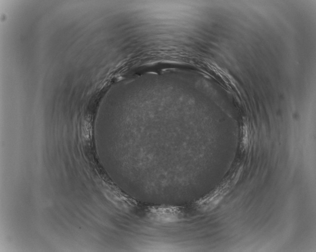 X0000086880517200704231106