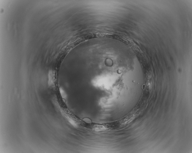 X0000086880519200704231106