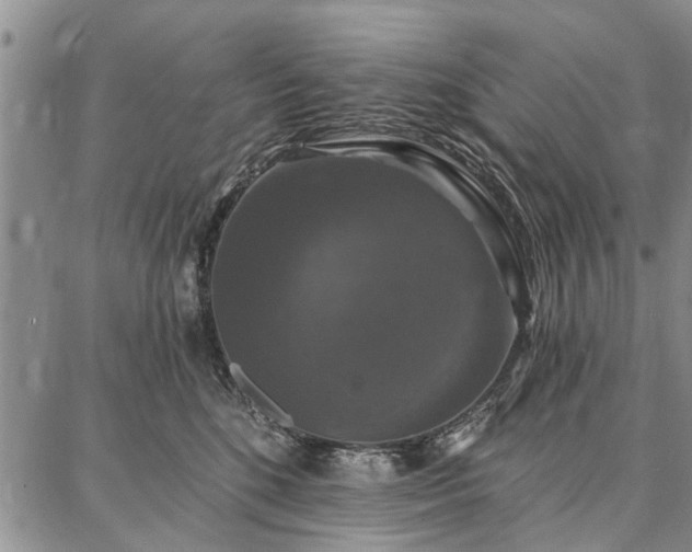 X0000086880520200704231106