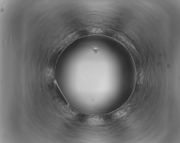 X0000086880521200704231106