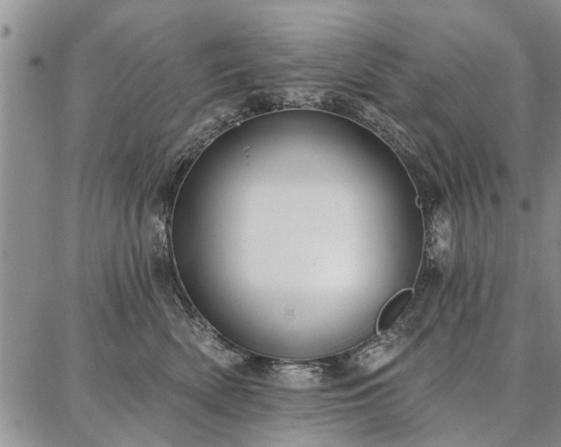 X0000086880522200704231106